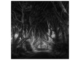 canvas-print-the-dark-hedges-x