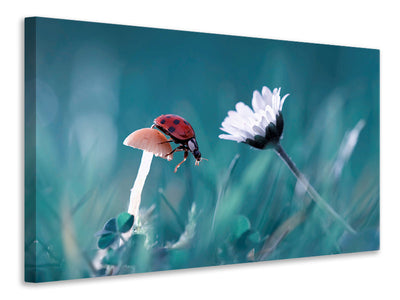 canvas-print-the-story-of-the-lady-bug