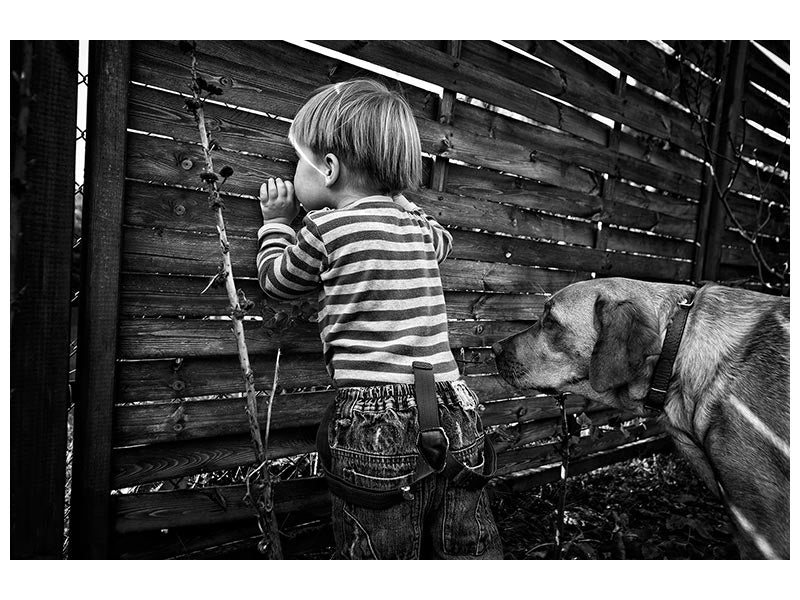 canvas-print-the-world-from-behind-the-fence-x