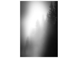 canvas-print-walking-in-the-forest