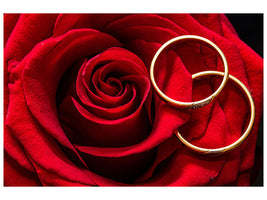 canvas-print-wedding-rings-on-the-rose