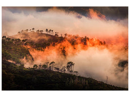 canvas-print-wildfire-x