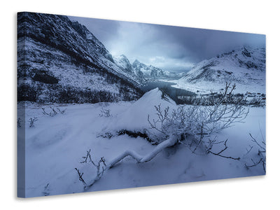 canvas-print-winter-is-coming-a