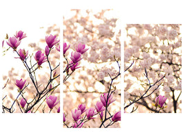 modern-3-piece-canvas-print-beautiful-magnolia-xl