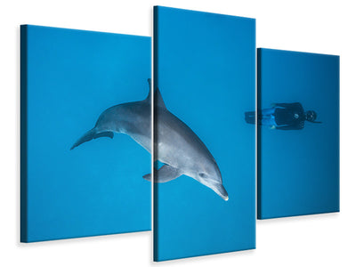 modern-3-piece-canvas-print-dolphin-and-freediver