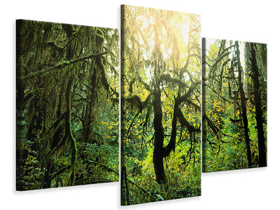 modern-3-piece-canvas-print-dreamy-forest