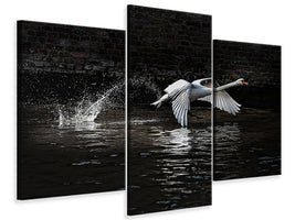 modern-3-piece-canvas-print-flying-swan