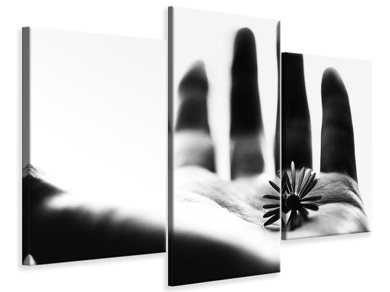 modern-3-piece-canvas-print-one-life