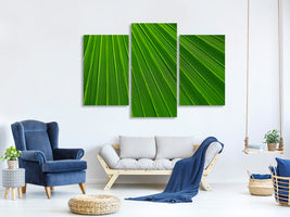 modern-3-piece-canvas-print-palm-stripe-i
