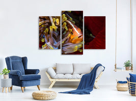 modern-3-piece-canvas-print-skunk-clownfish