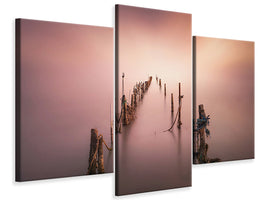 modern-3-piece-canvas-print-sticks