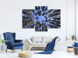 modern-3-piece-canvas-print-under-high-treetops