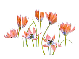 modern-4-piece-canvas-print-apricot-tulips