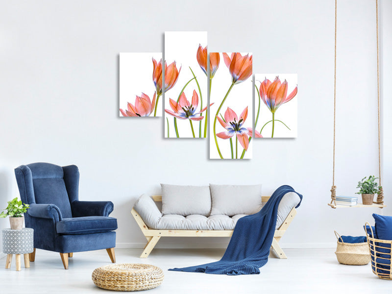 modern-4-piece-canvas-print-apricot-tulips