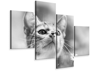 modern-4-piece-canvas-print-curious