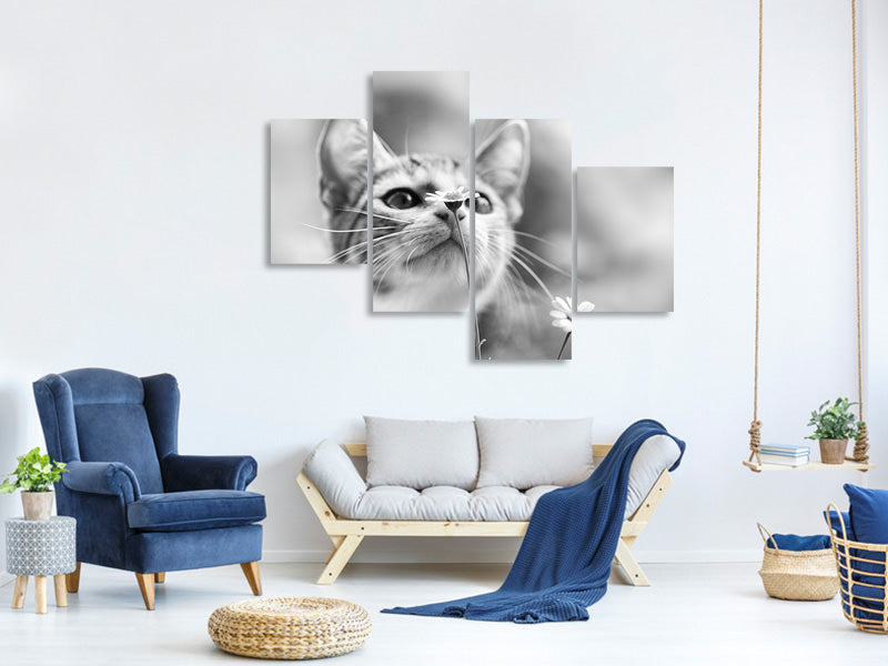 modern-4-piece-canvas-print-curious