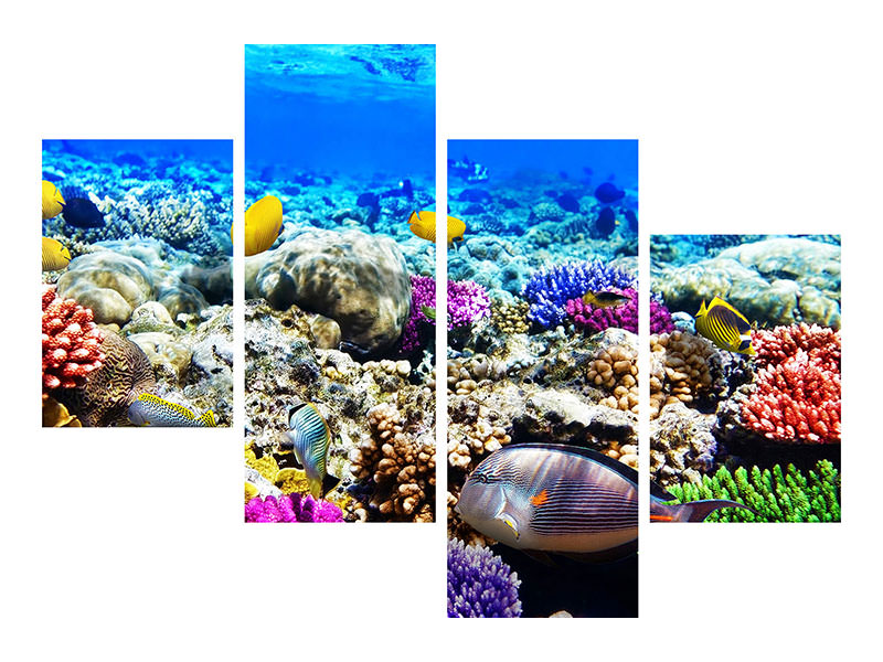 modern-4-piece-canvas-print-fish-aquarium