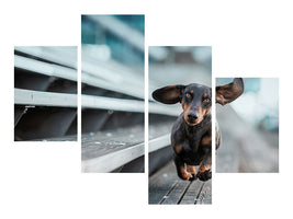 modern-4-piece-canvas-print-little-dog