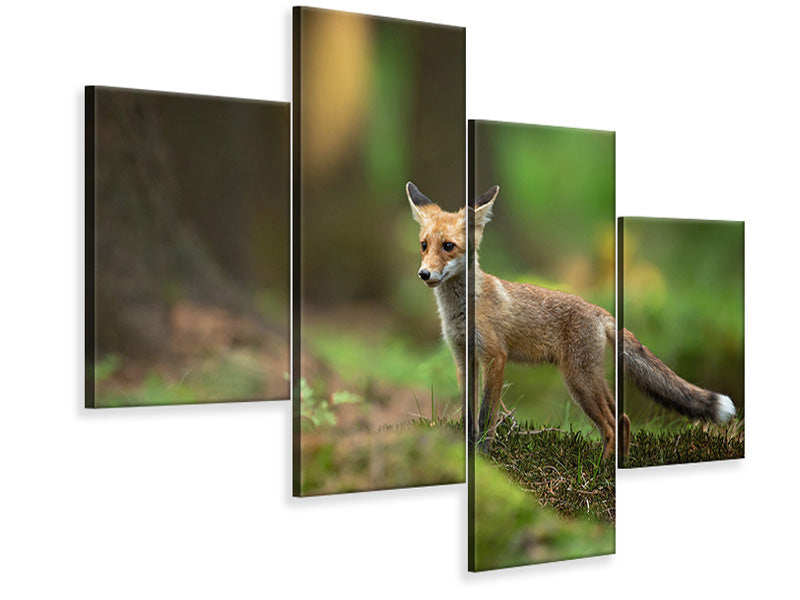 modern-4-piece-canvas-print-red-fox