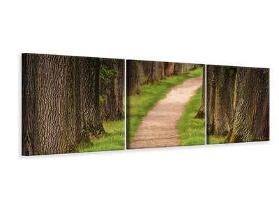 panoramic-3-piece-canvas-print-a-path-in-the-forest
