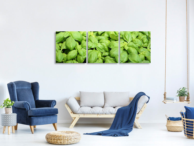 panoramic-3-piece-canvas-print-all-basil