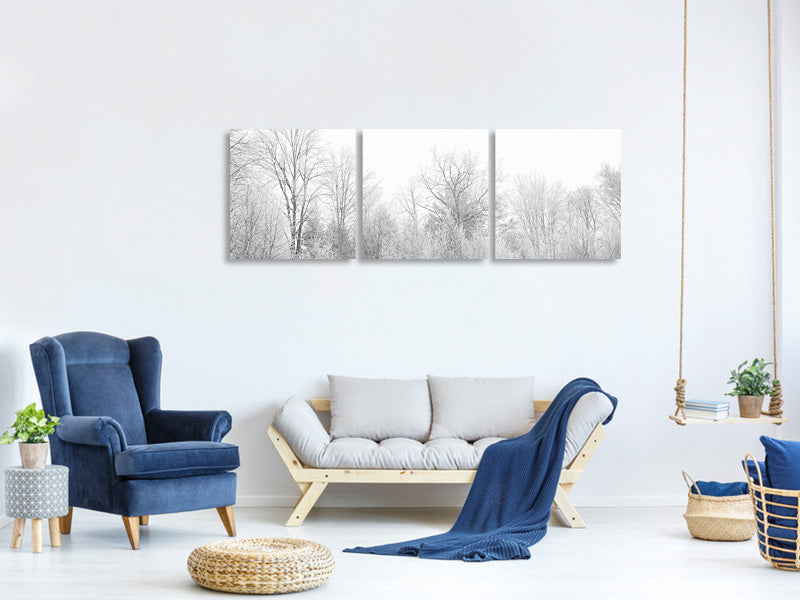 panoramic-3-piece-canvas-print-birches-in-the-snow