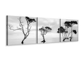 panoramic-3-piece-canvas-print-drowning-not-waving