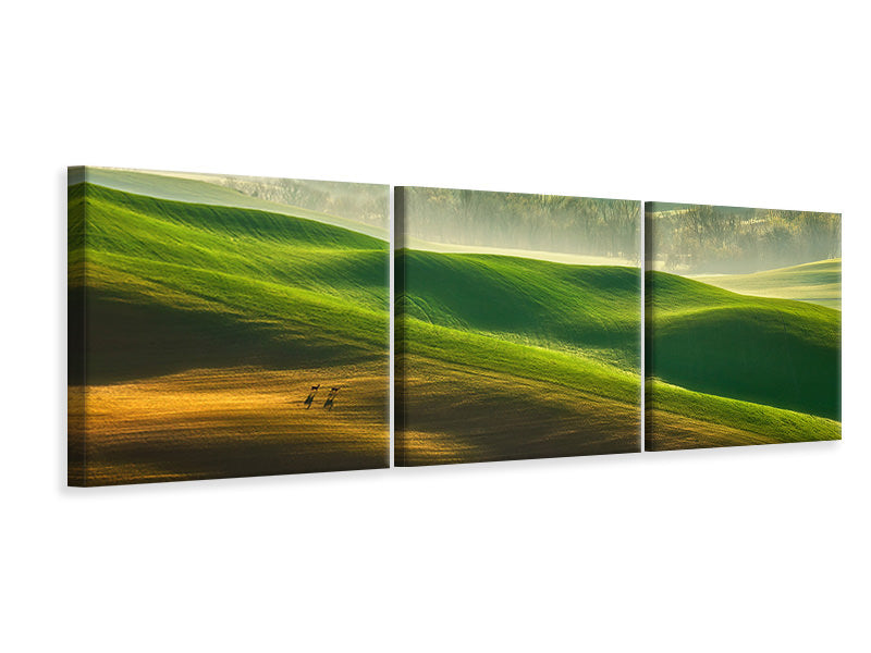 panoramic-3-piece-canvas-print-freedom-ii