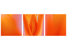 panoramic-3-piece-canvas-print-kensaki-tulip