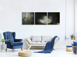 panoramic-3-piece-canvas-print-light-in-the-darkness
