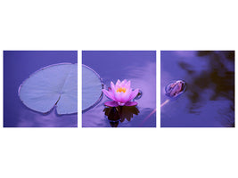 panoramic-3-piece-canvas-print-lotus-flower