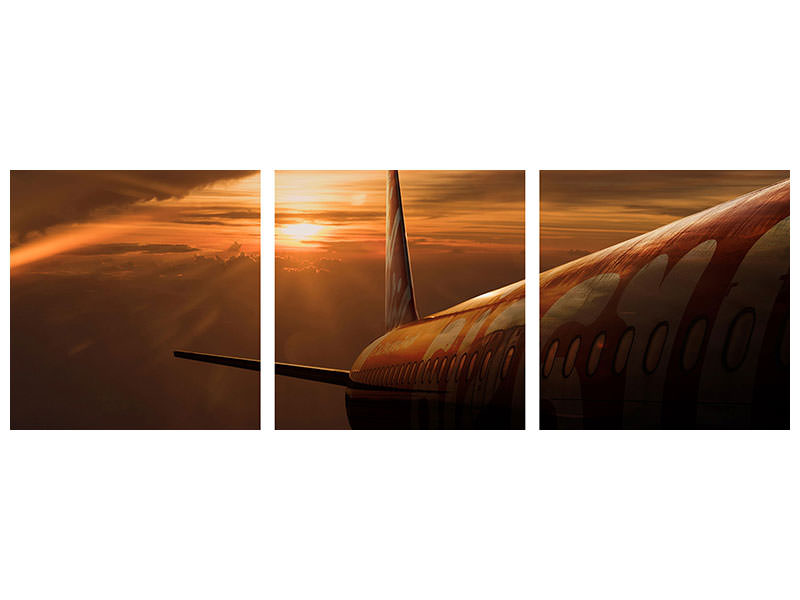 panoramic-3-piece-canvas-print-out-of-the-flight
