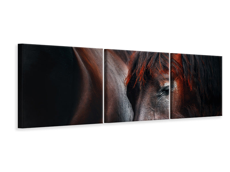 panoramic-3-piece-canvas-print-sleep-huddle