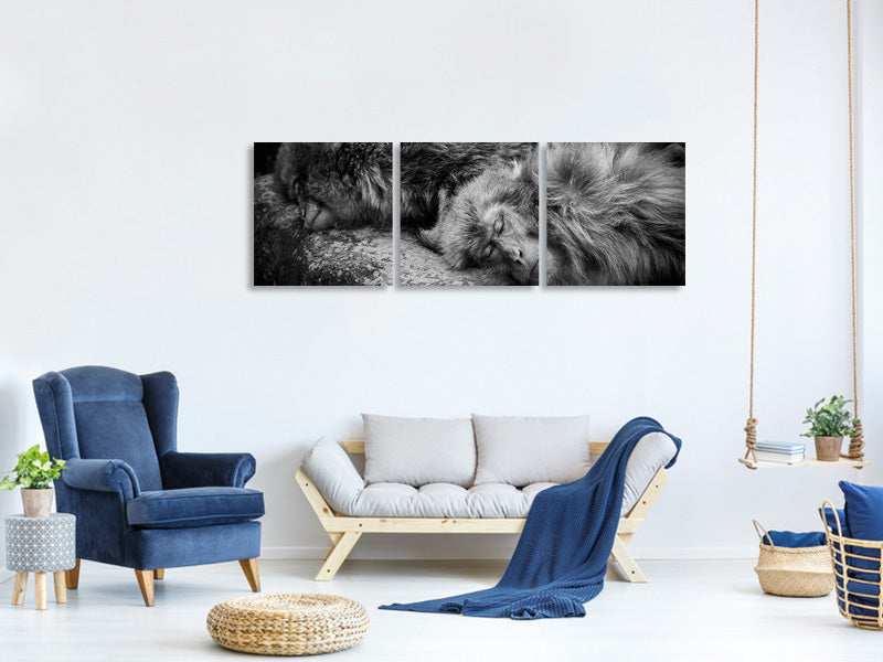 panoramic-3-piece-canvas-print-sleeping