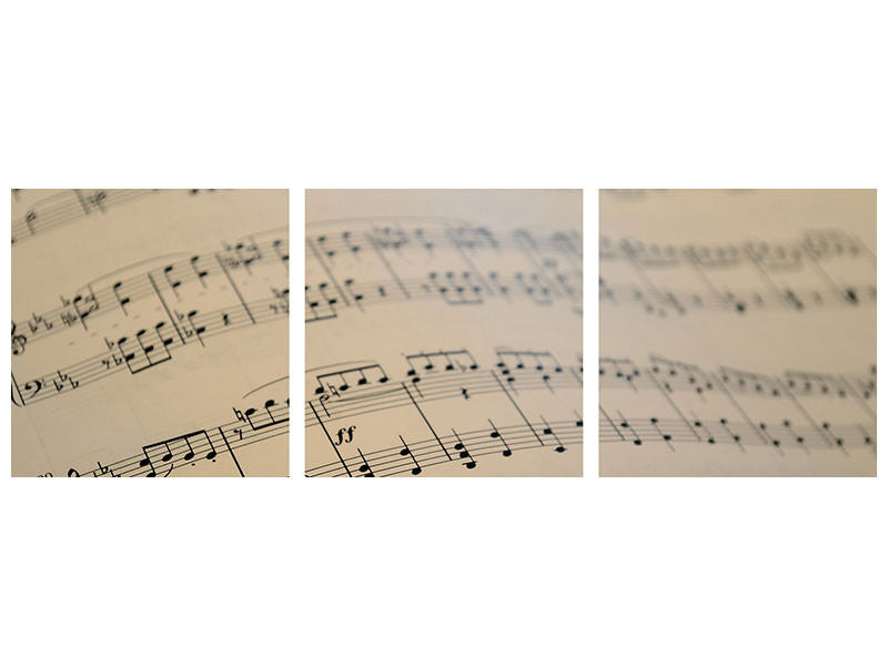 panoramic-3-piece-canvas-print-the-music-notes