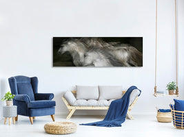 panoramic-canvas-print-into-the-dark