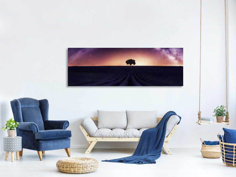 panoramic-canvas-print-my-lavander