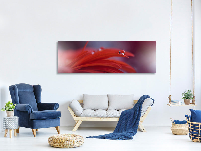 panoramic-canvas-print-red-passion