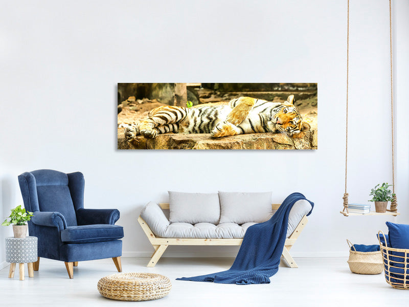 panoramic-canvas-print-the-siberian-tiger
