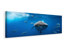 panoramic-canvas-print-whale-shark-escorted-by-a-school-of-bonito