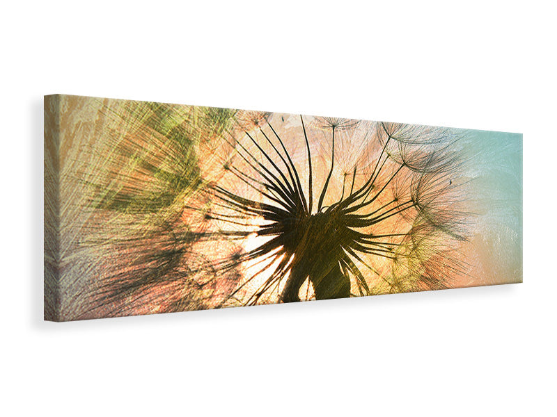 panoramic-canvas-print-xxl-dandelion