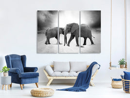 3-piece-canvas-print-2-elephants-sw