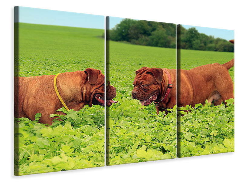 3-piece-canvas-print-2-heavyweights