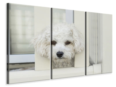 3-piece-canvas-print-a-dog-girl-to-fall-in-love