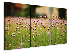 3-piece-canvas-print-a-meadow-full-of-flowers