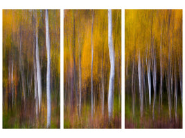 3-piece-canvas-print-abstract-fall