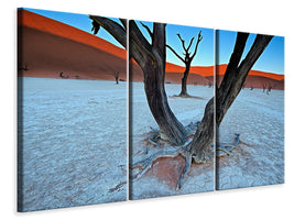 3-piece-canvas-print-ancient-trees-in-the-vlei