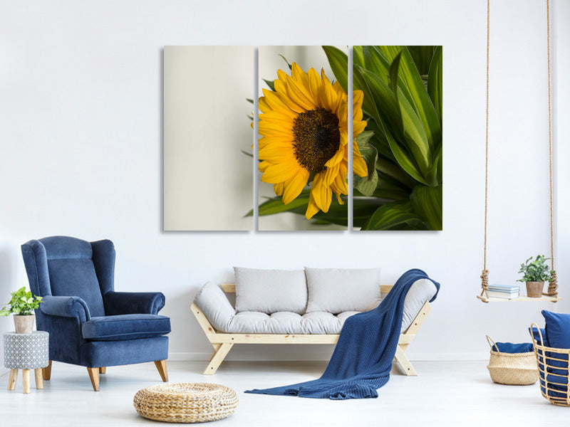 3-piece-canvas-print-beautiful-sunflower