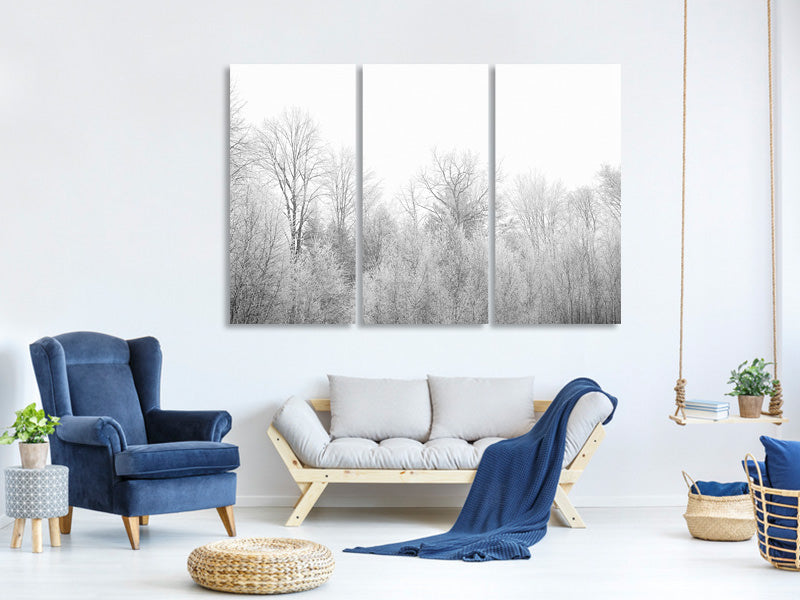 3-piece-canvas-print-birches-in-the-snow