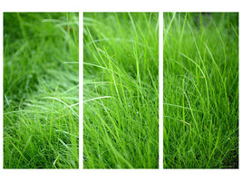 3-piece-canvas-print-blades-of-grass